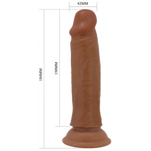 81261.8