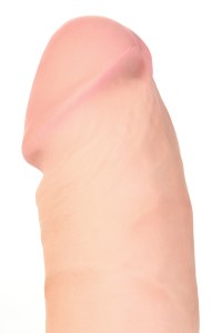 981037.54